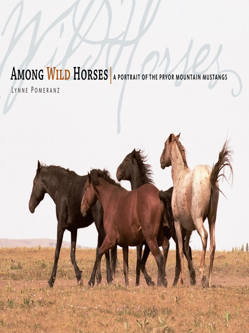Title details for Among Wild Horses by Lynne Pomeranz - Available